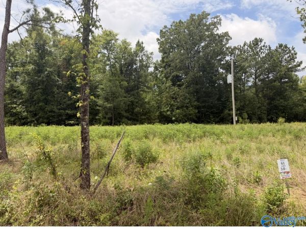 Lot 61 County Road 32, Piedmont, AL 36272