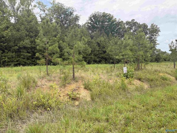 Lot 58 County Road 32, Piedmont, AL 36272