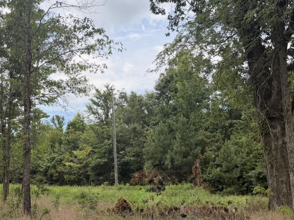 Lot 59 County Road 32, Piedmont, AL 36272