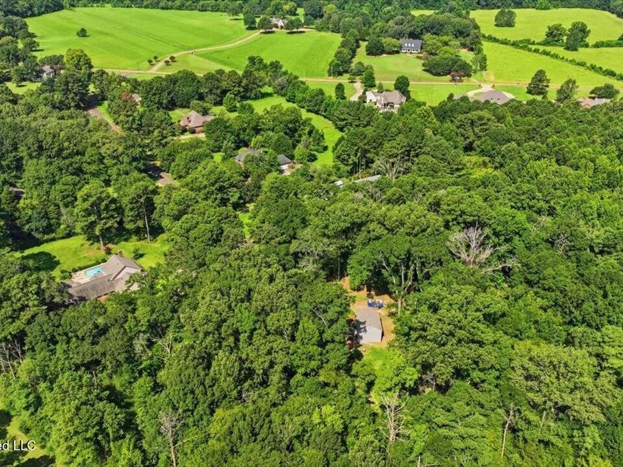 Property Image 78