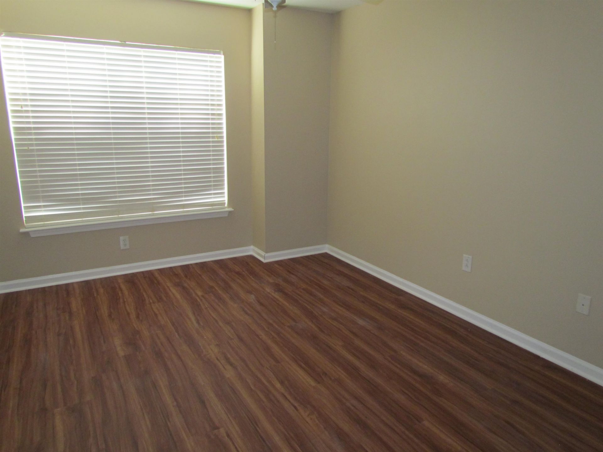 223 Whitchurch St.  Photo 18