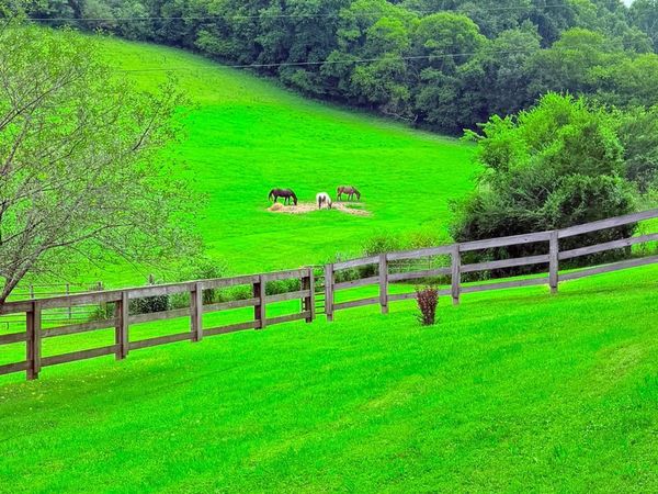 1220 Normandy Rd, Normandy, TN 37360