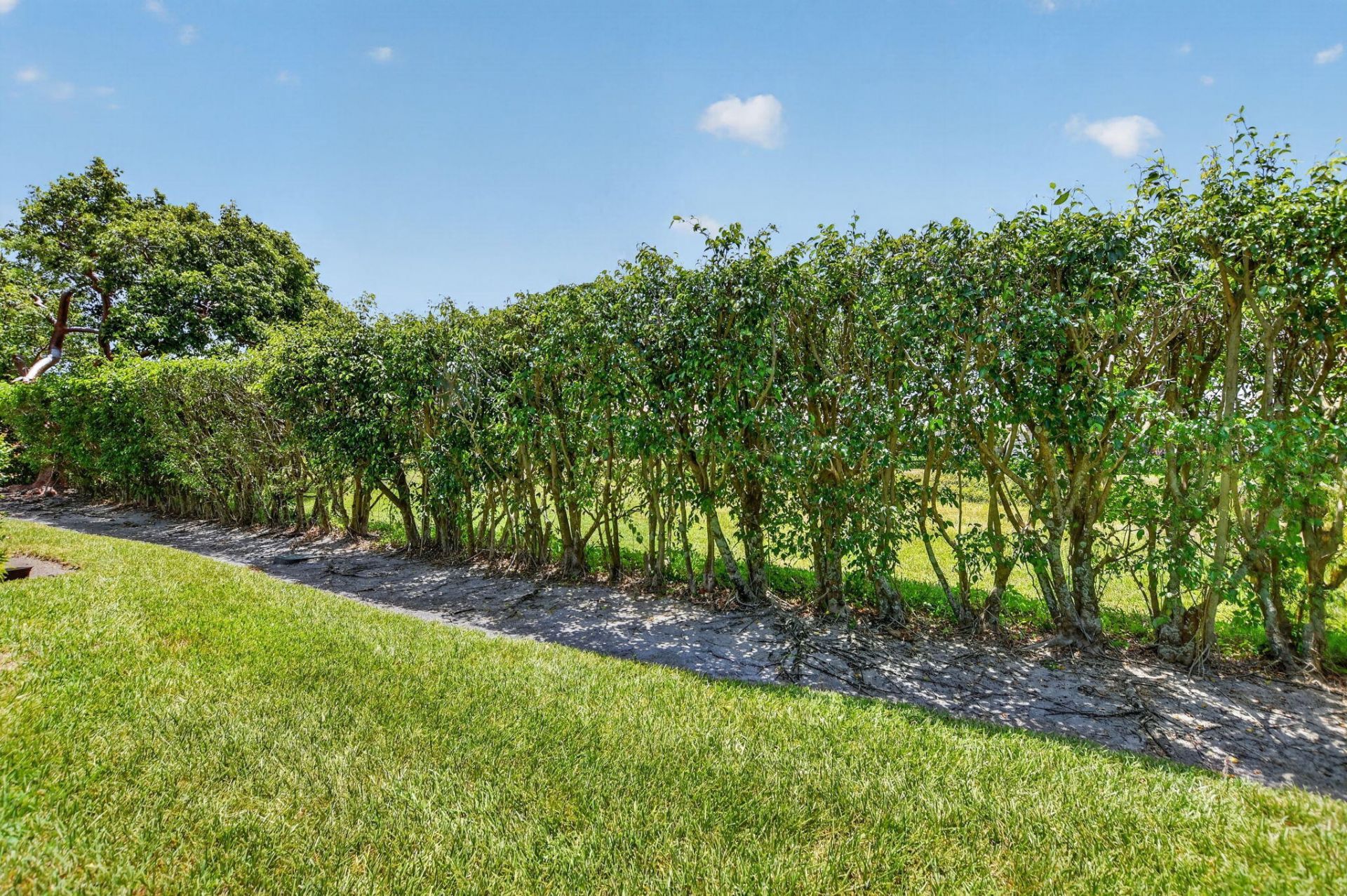 8100 Via Di Veneto, Unit NEIBORHOOD, Boca Raton, FL 33496 Photo
