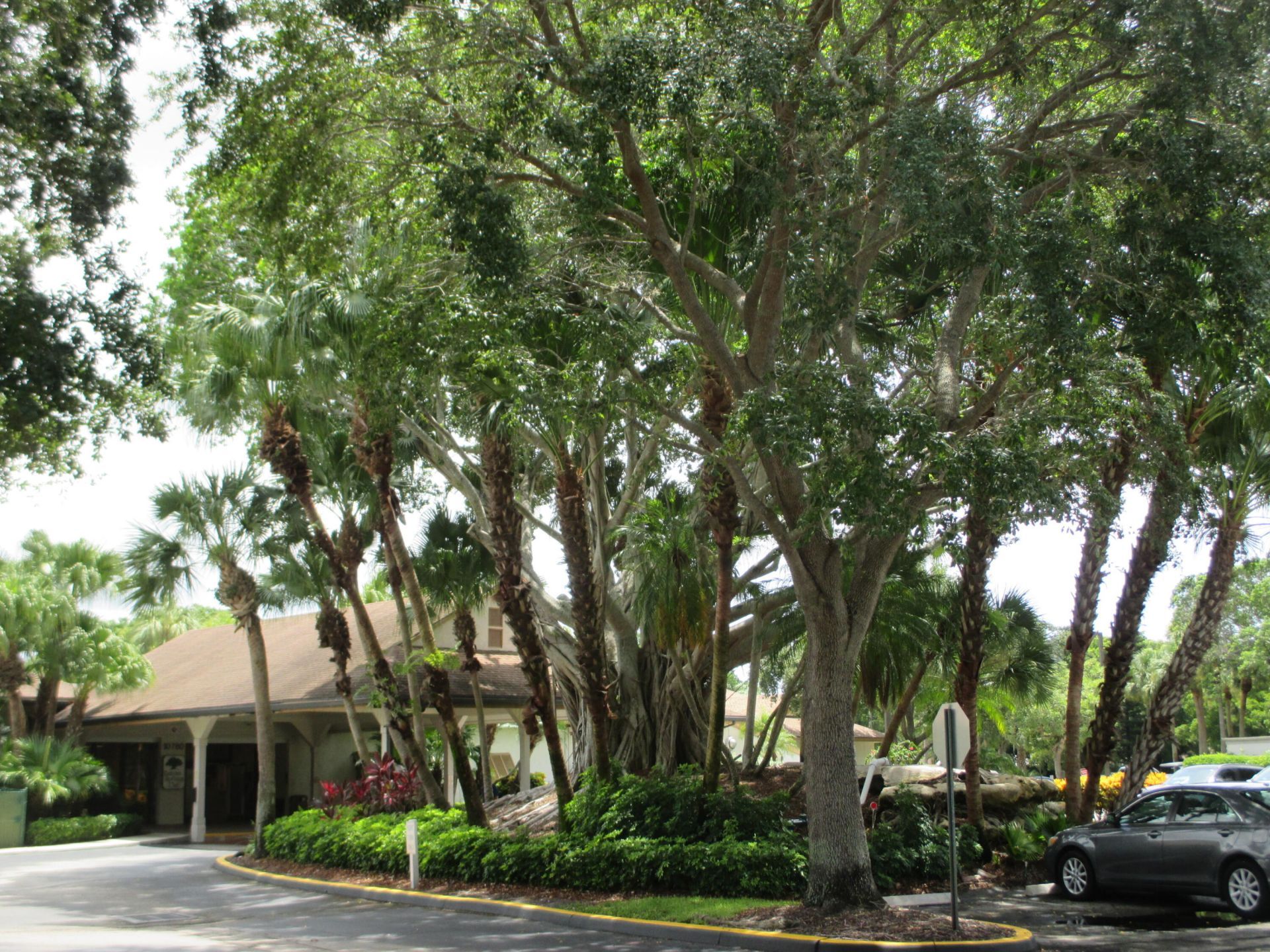 10101 Mangrove Drive, Unit 201, Boynton Beach, FL 33437 Photo