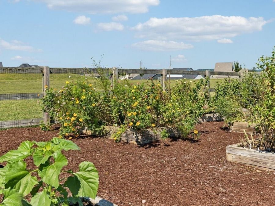 Property Image 69
