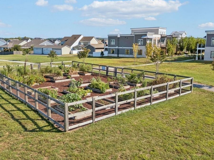 Property Image 78