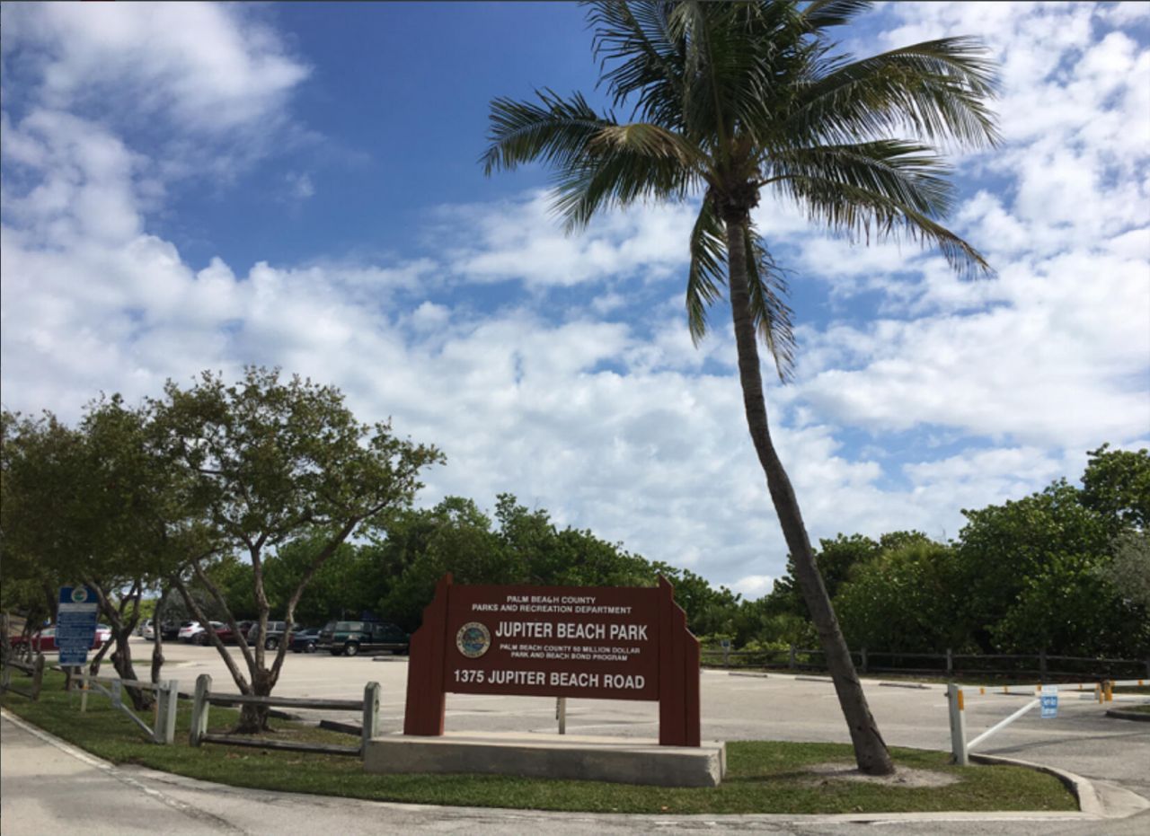 1100 E Indiantown Road, Unit 104, Jupiter, FL 33477 Photo