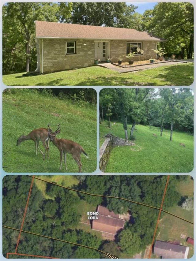 215 Wallace Dr , Fayetteville, TN 37334 Main Photo