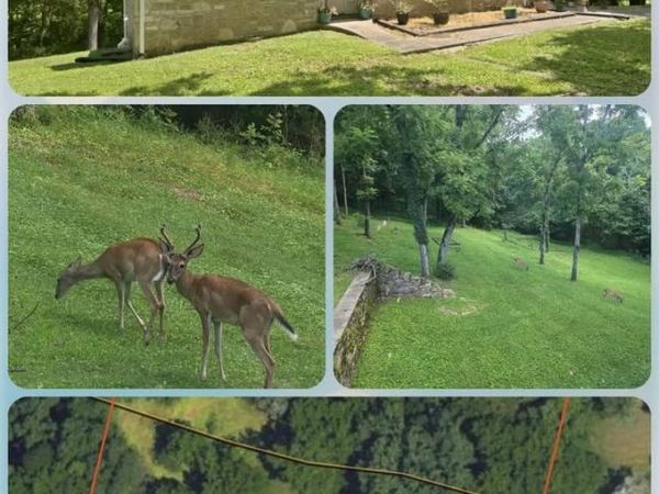 215 Wallace Dr , Fayetteville, TN 37334