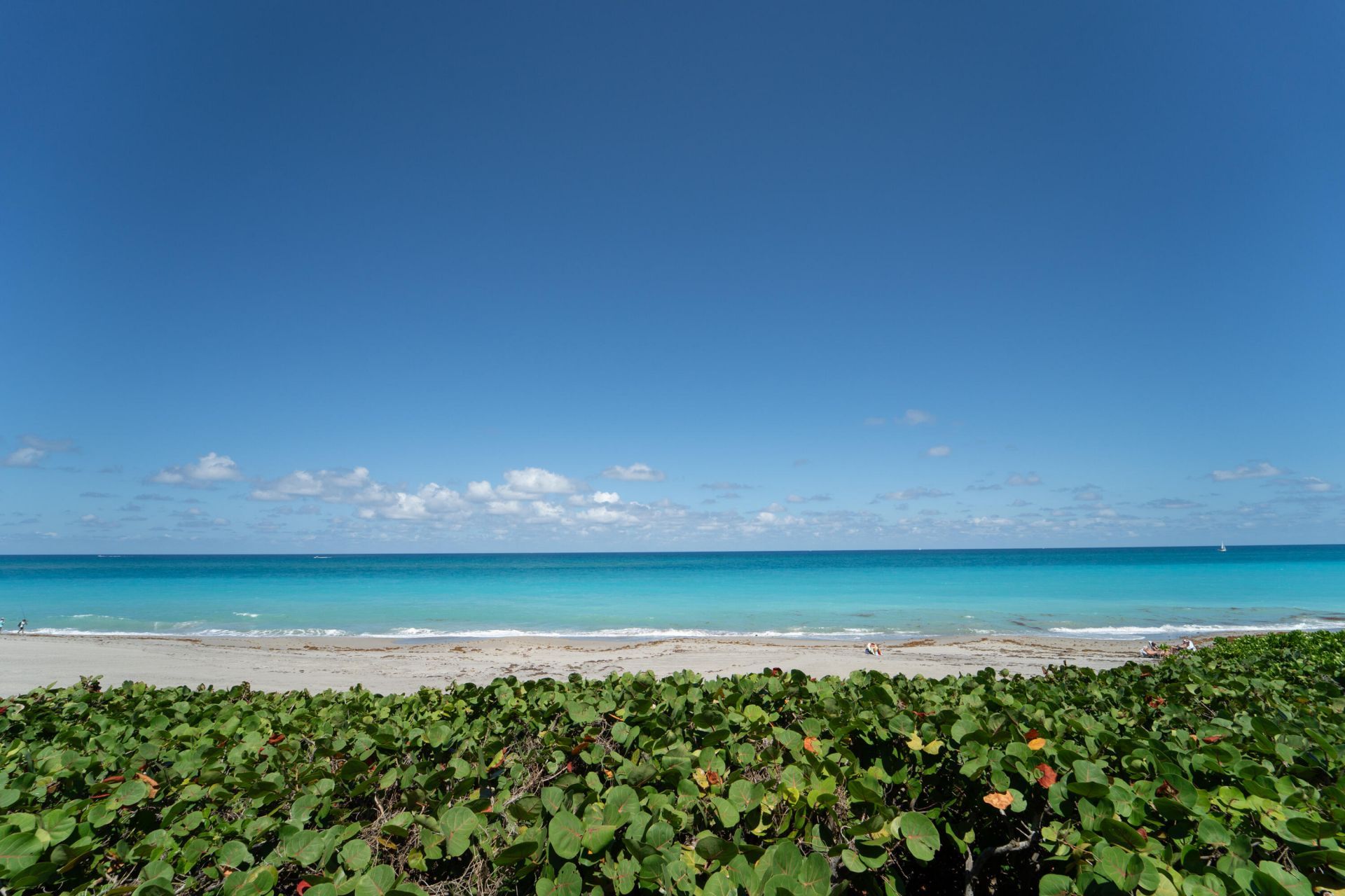 200 Ocean Trail Way, Unit 1106, Jupiter, FL 33477 Photo