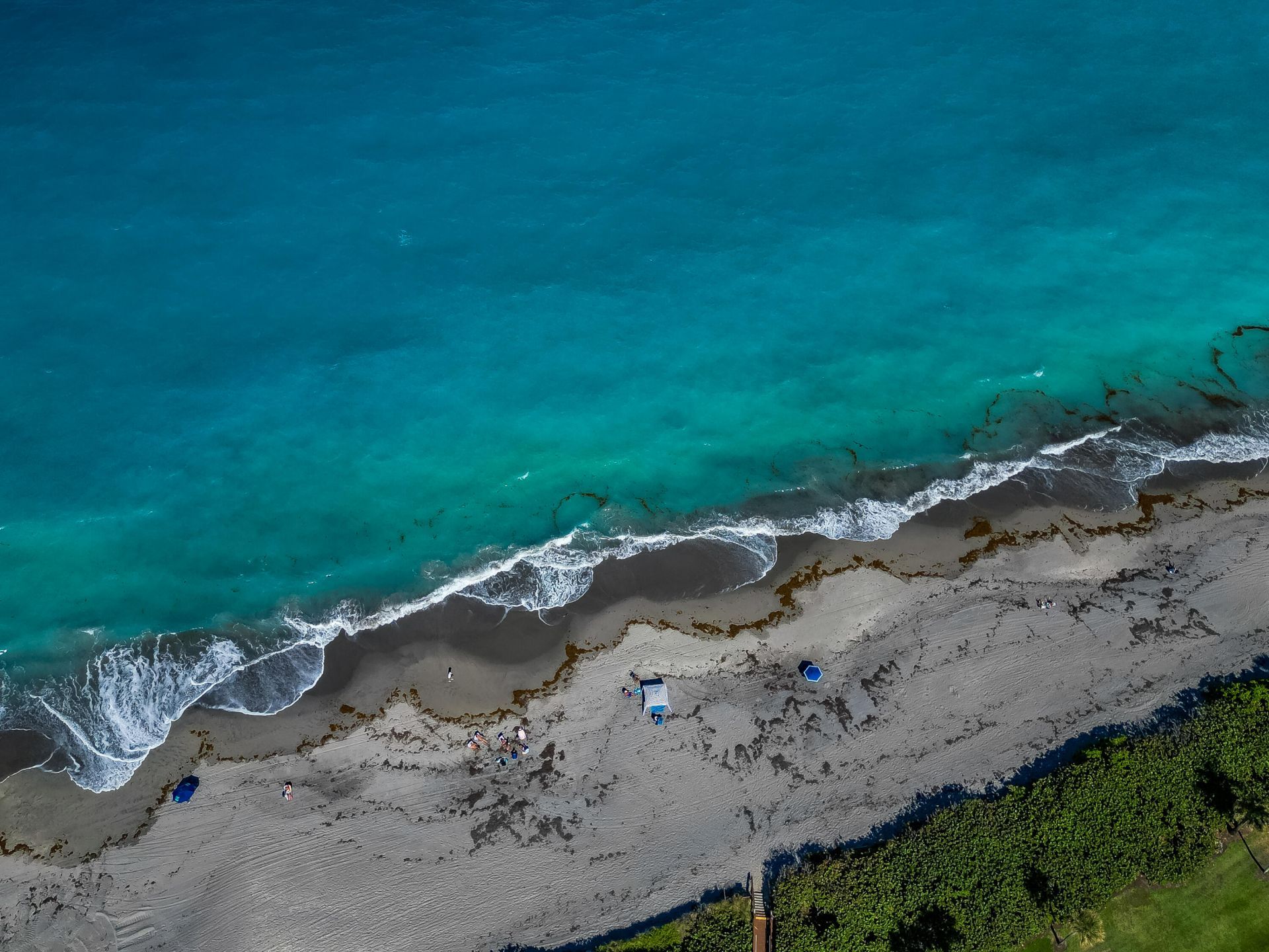 200 Ocean Trail Way, Unit 1106, Jupiter, FL 33477 Photo