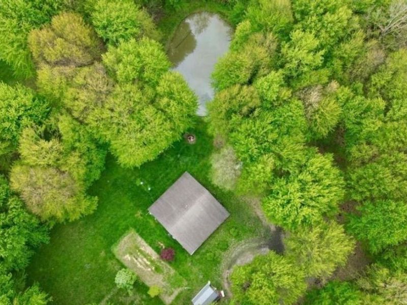 4135 Township Road 21 , Marengo, OH 43334 Photo 11