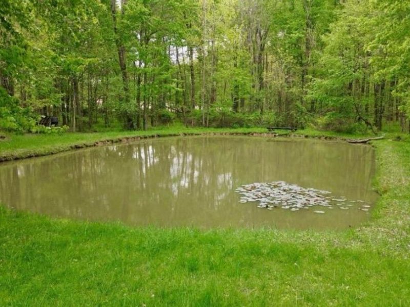 4135 Township Road 21 , Marengo, OH 43334 Photo 14