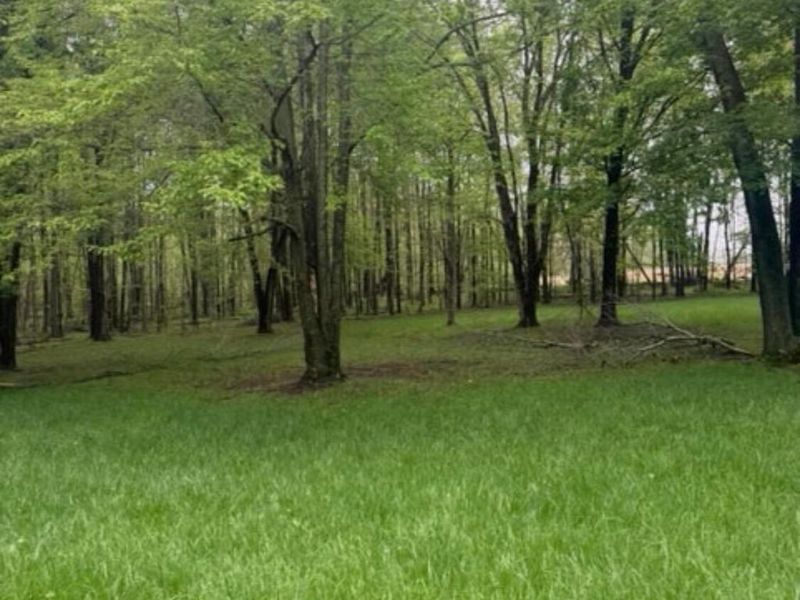4135 Township Road 21 , Marengo, OH 43334 Photo 18