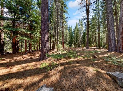 1492 Mount Rainier Drive, South Lake Tahoe, CA 96150 Photo