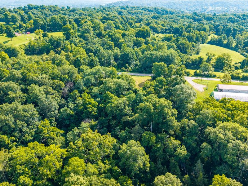 0 Hwy 455, Sparta, KY 41086 Photo 8