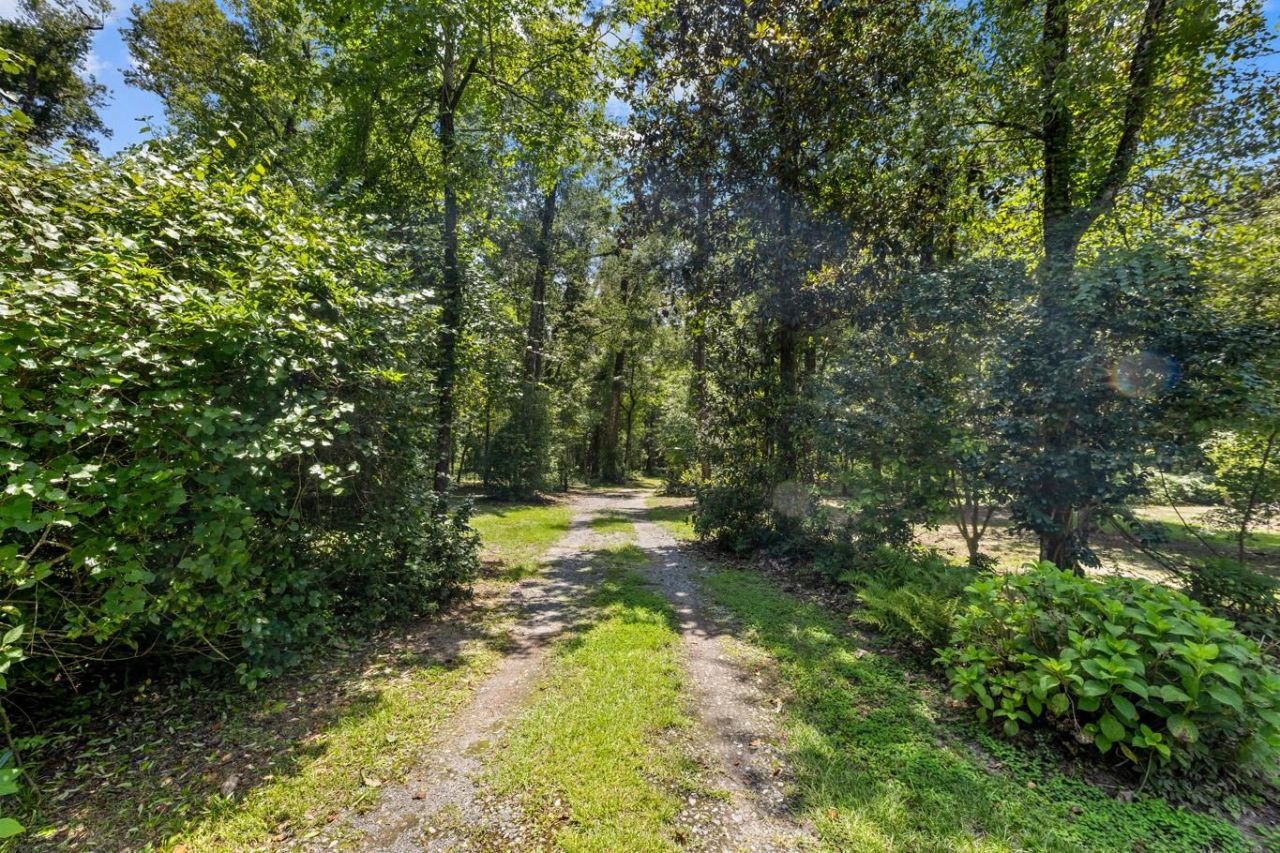 1407 Shady Rest Road , Havana, FL 32333 Photo