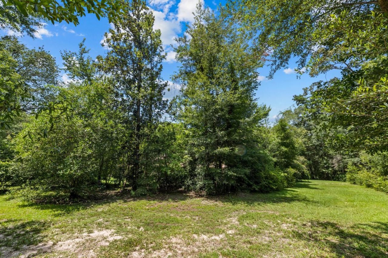 1407 Shady Rest Road , Havana, FL 32333 Photo