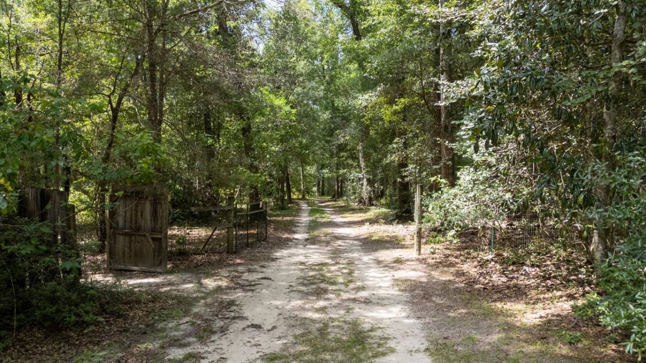 1407 Shady Rest Road , Havana, FL 32333 Photo