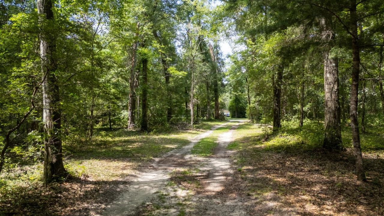 1407 Shady Rest Road , Havana, FL 32333 Photo