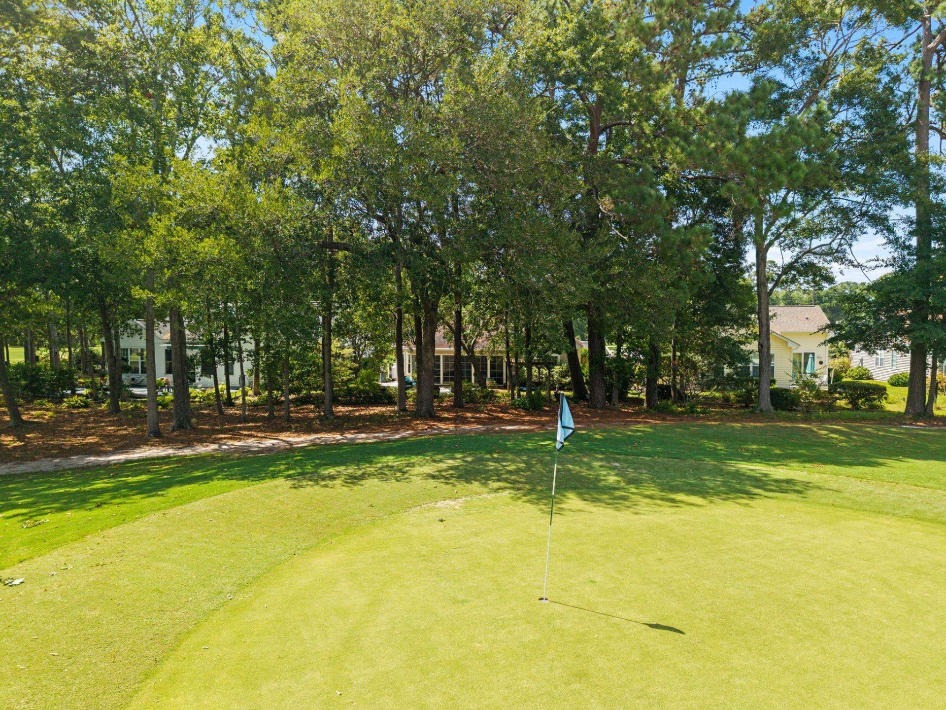 4336 Deer Run Ave. Photo 48