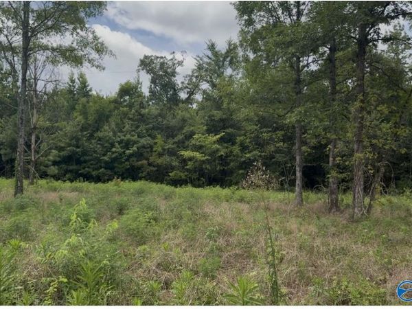 Lot 60 County Road 32, Piedmont, AL 36272
