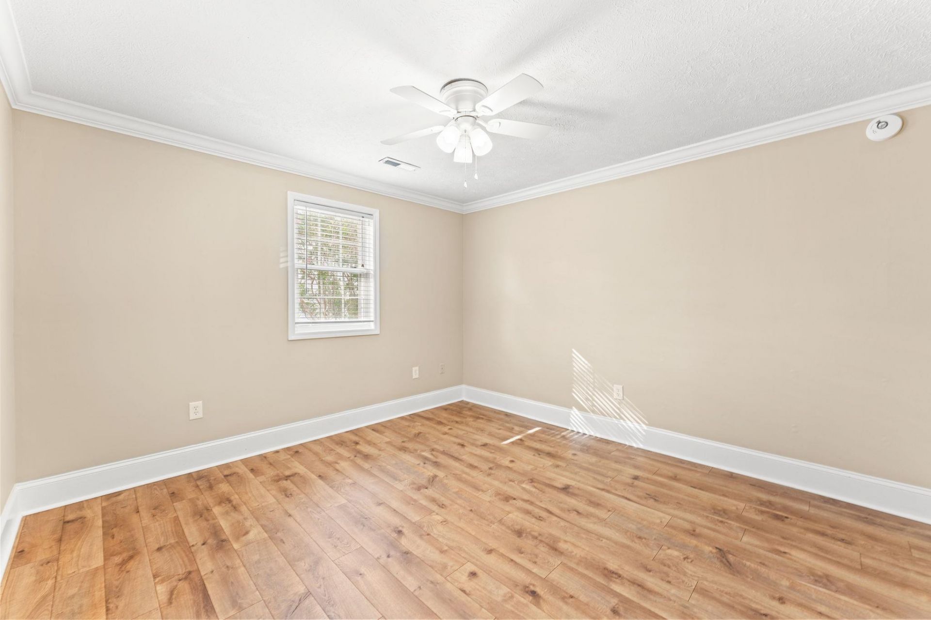 410 31st Ave. N  Photo 21