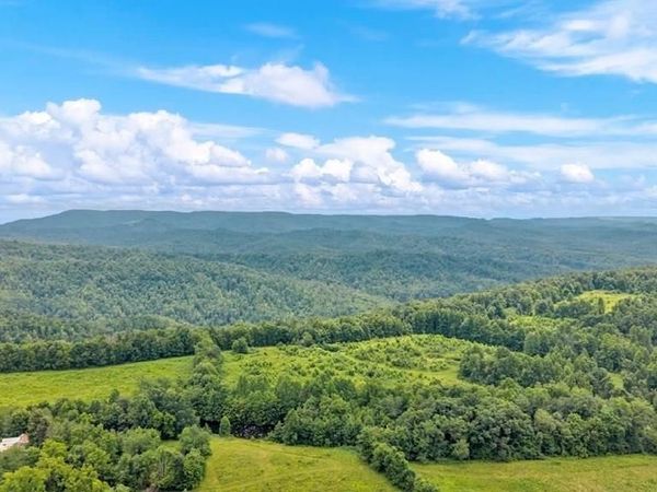 Tommys Ridge, ODD, WV 25902