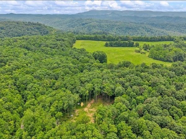 Tommys Ridge, ODD, WV 25902