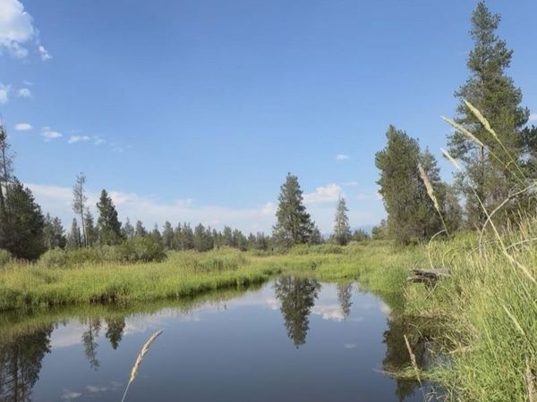 40 Black Pine Place, McCall, ID 83638