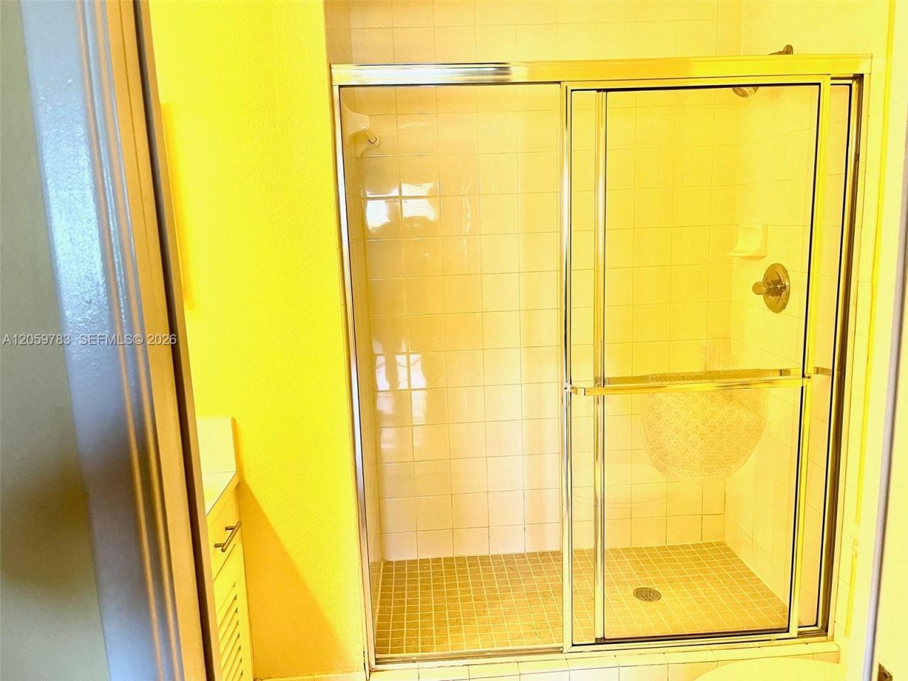 4540 NW 107th Ave, Unit 308-11, Doral, FL 33178 Photo