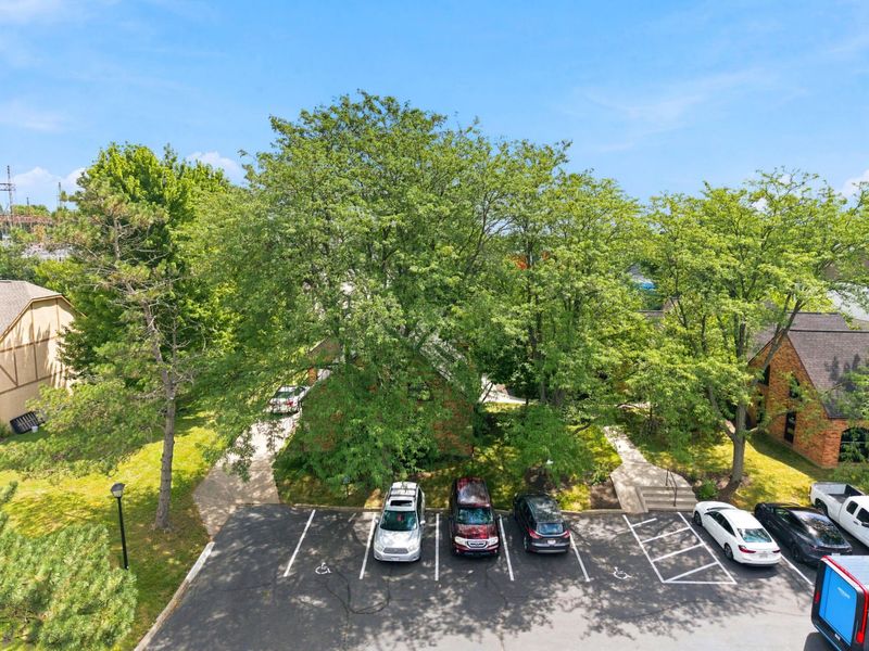 2931 Donnylane Boulevard , Unit A, Columbus, OH 43235 Photo 3