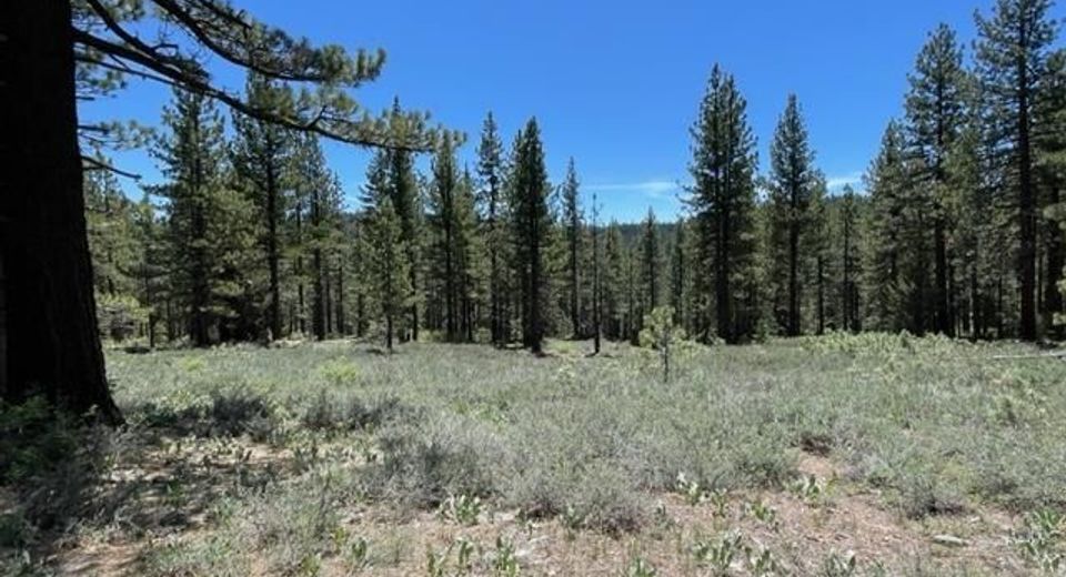 019-080-028-0 Groundhog Rock, Sierraville, CA 96125 Photo