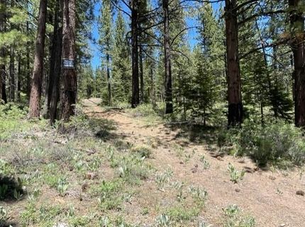 019-080-028-0 Groundhog Rock, Sierraville, CA 96125 Photo