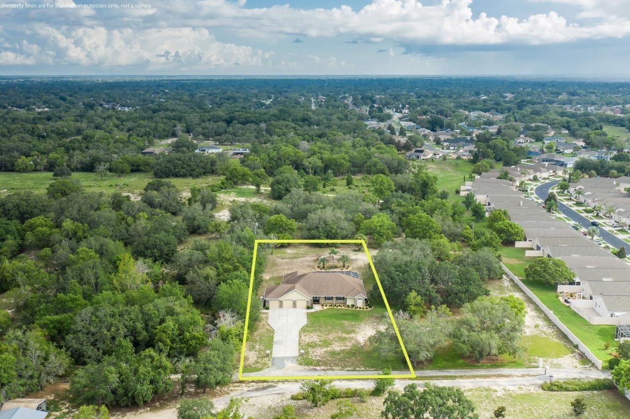 343 Royal Palm Way, Spring Hill, FL 34608 Photo