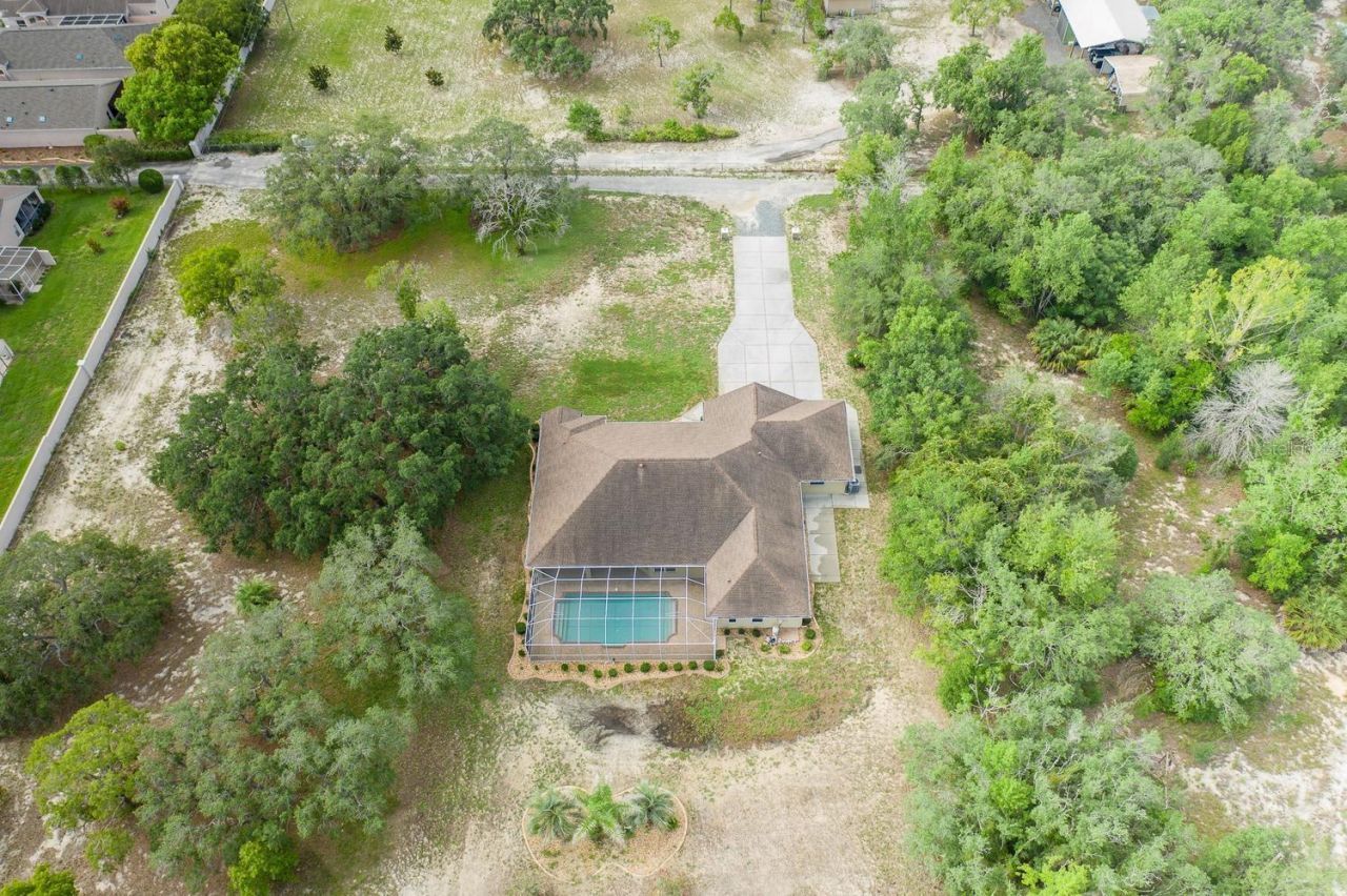 343 Royal Palm Way, Spring Hill, FL 34608 Photo