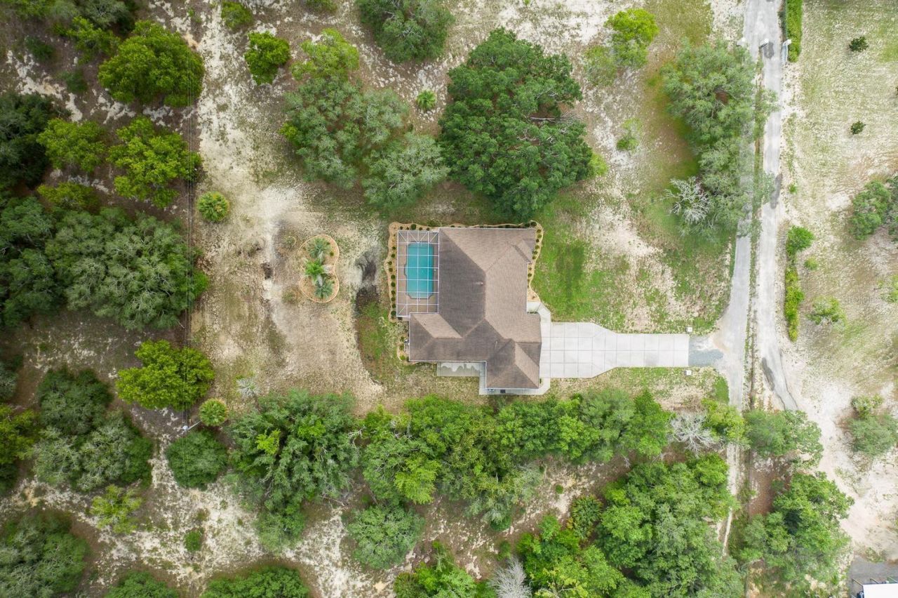 343 Royal Palm Way, Spring Hill, FL 34608 Photo