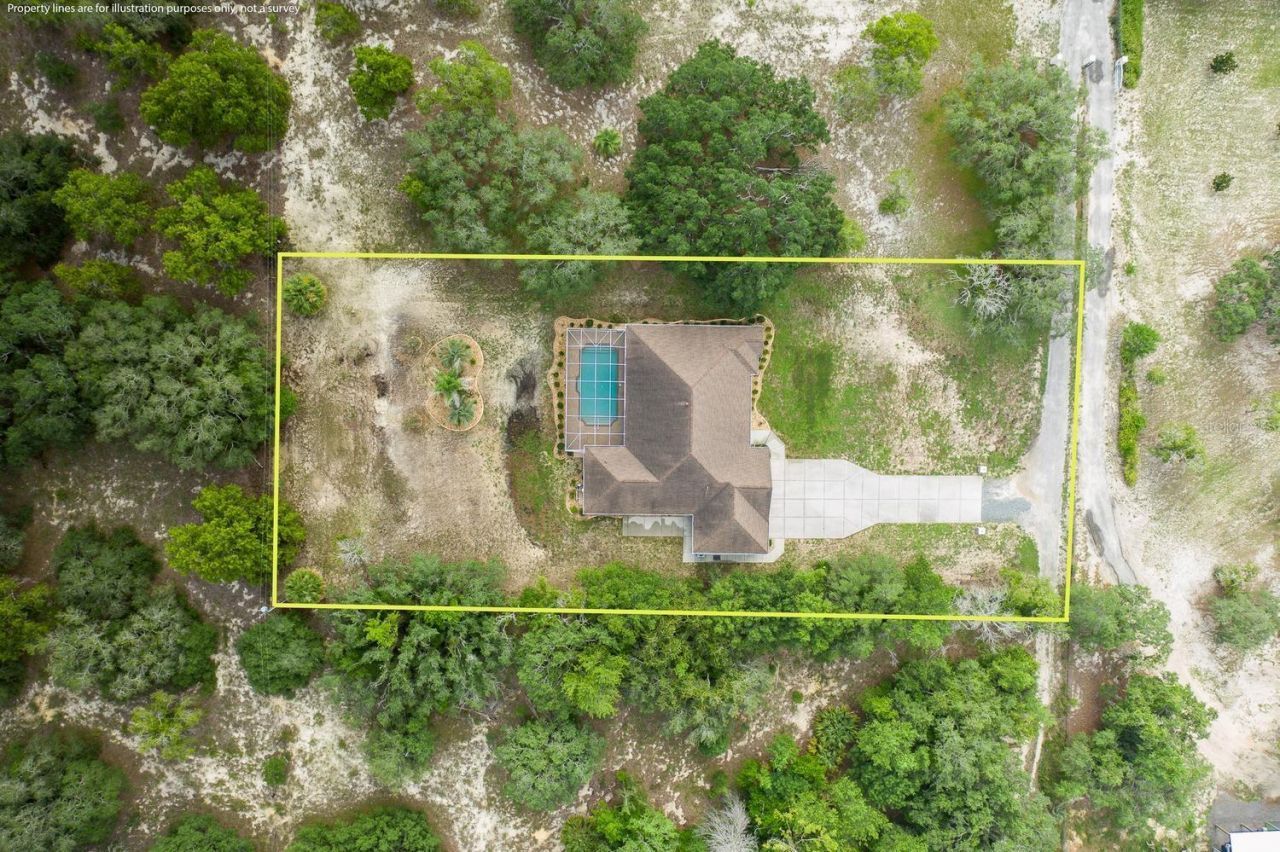 343 Royal Palm Way, Spring Hill, FL 34608 Photo