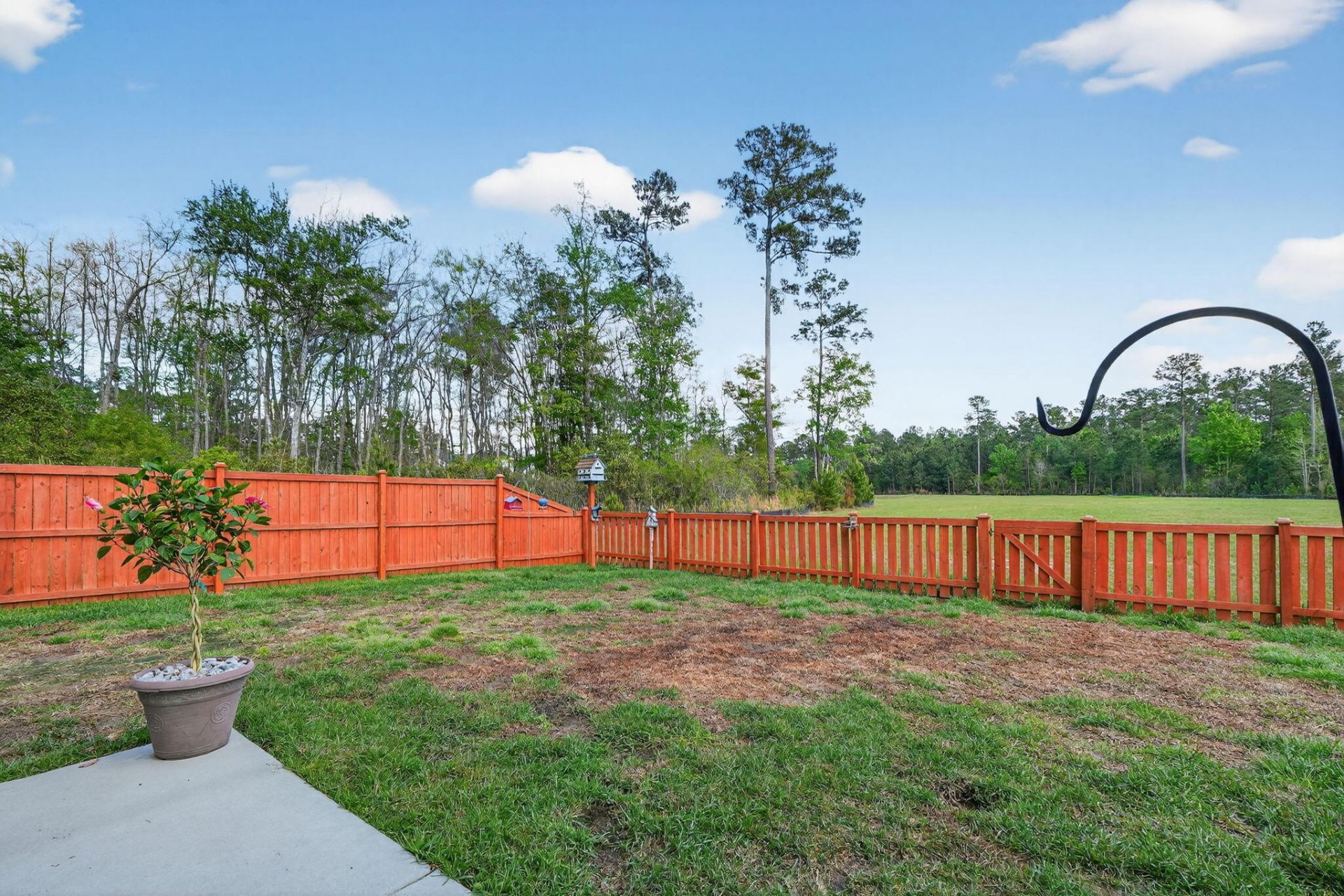 227 Wappoo Trace Lane Photo 34