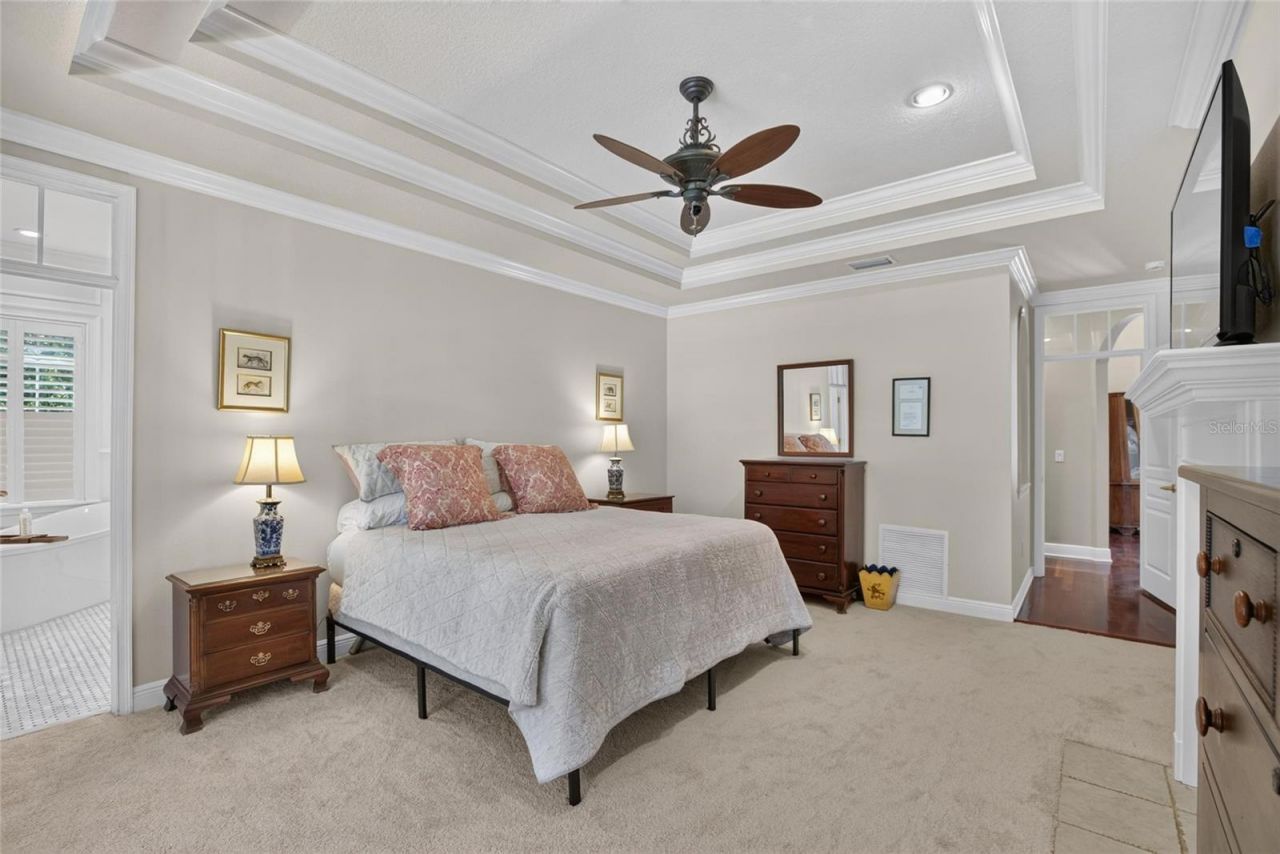 16317 Emerald Cove, Lutz, FL 33549 Photo