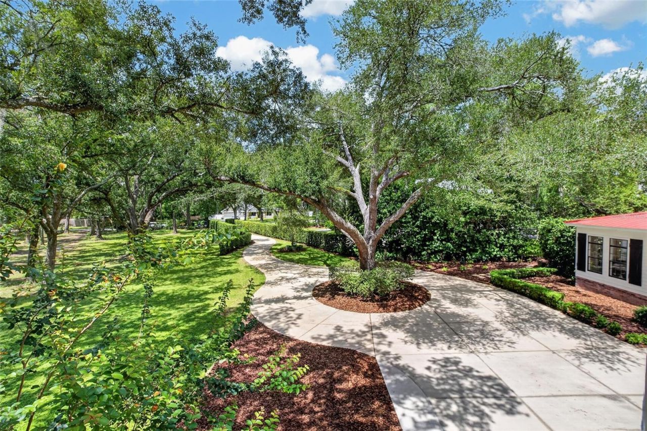 16317 Emerald Cove, Lutz, FL 33549 Photo