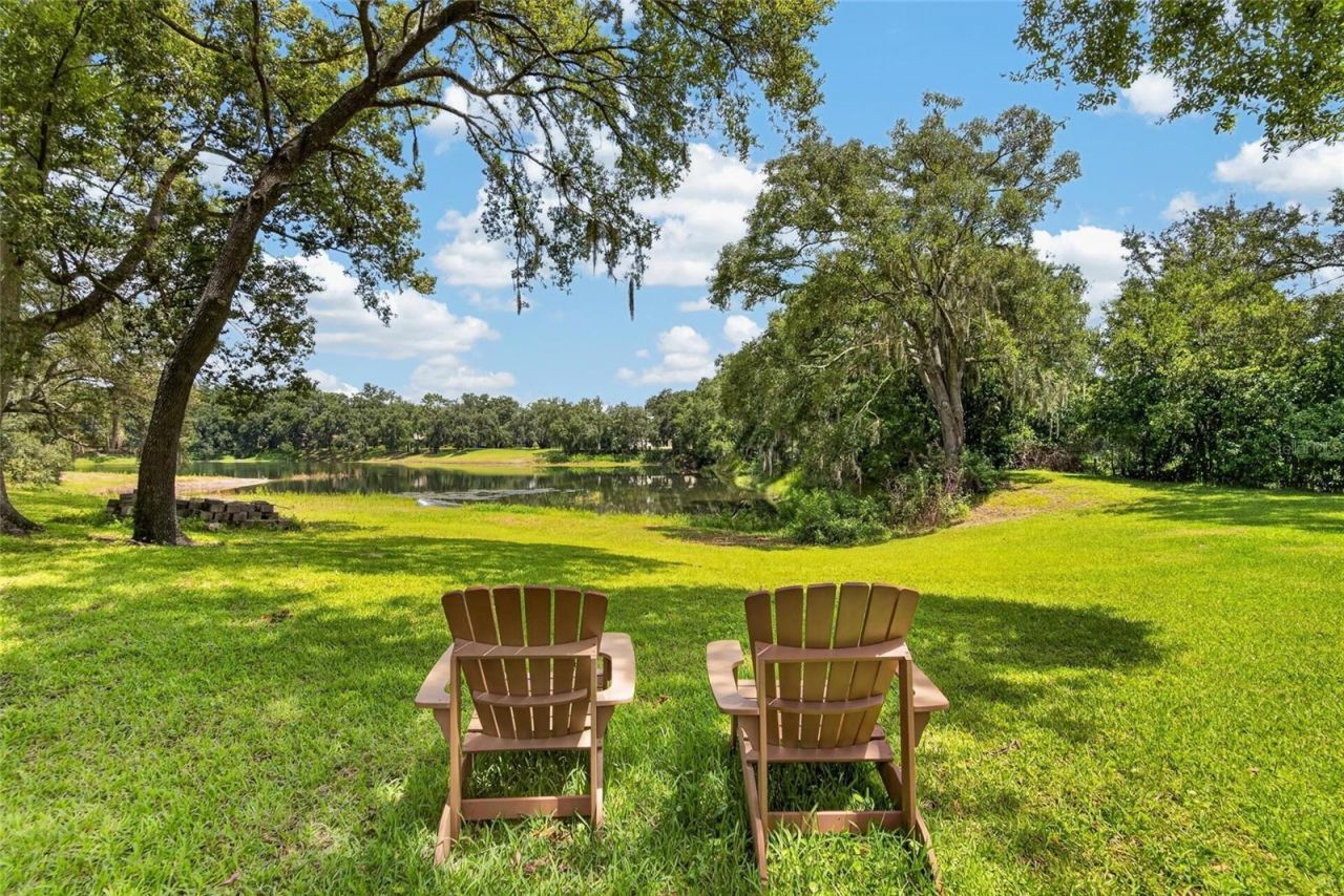 16317 Emerald Cove, Lutz, FL 33549 Photo