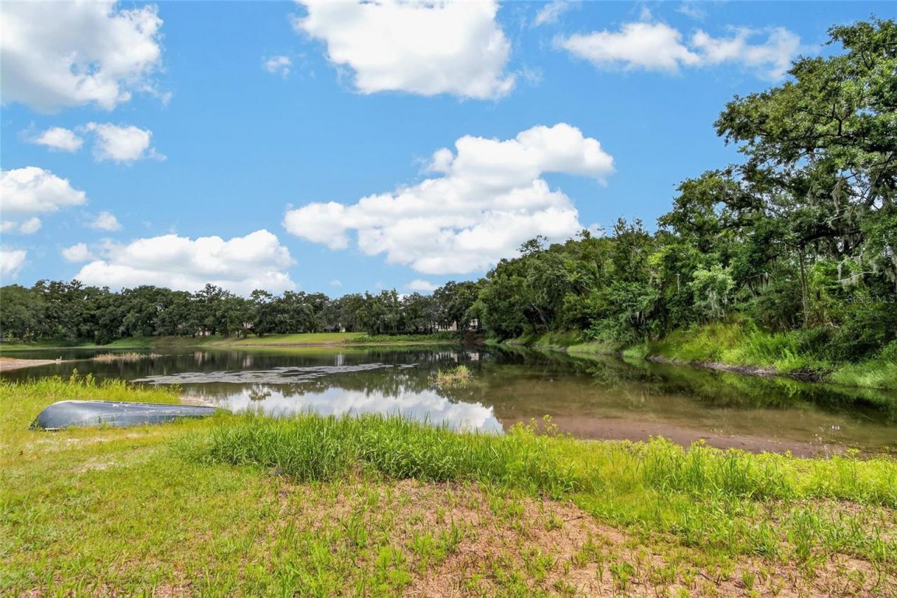 16317 Emerald Cove, Lutz, FL 33549 Photo