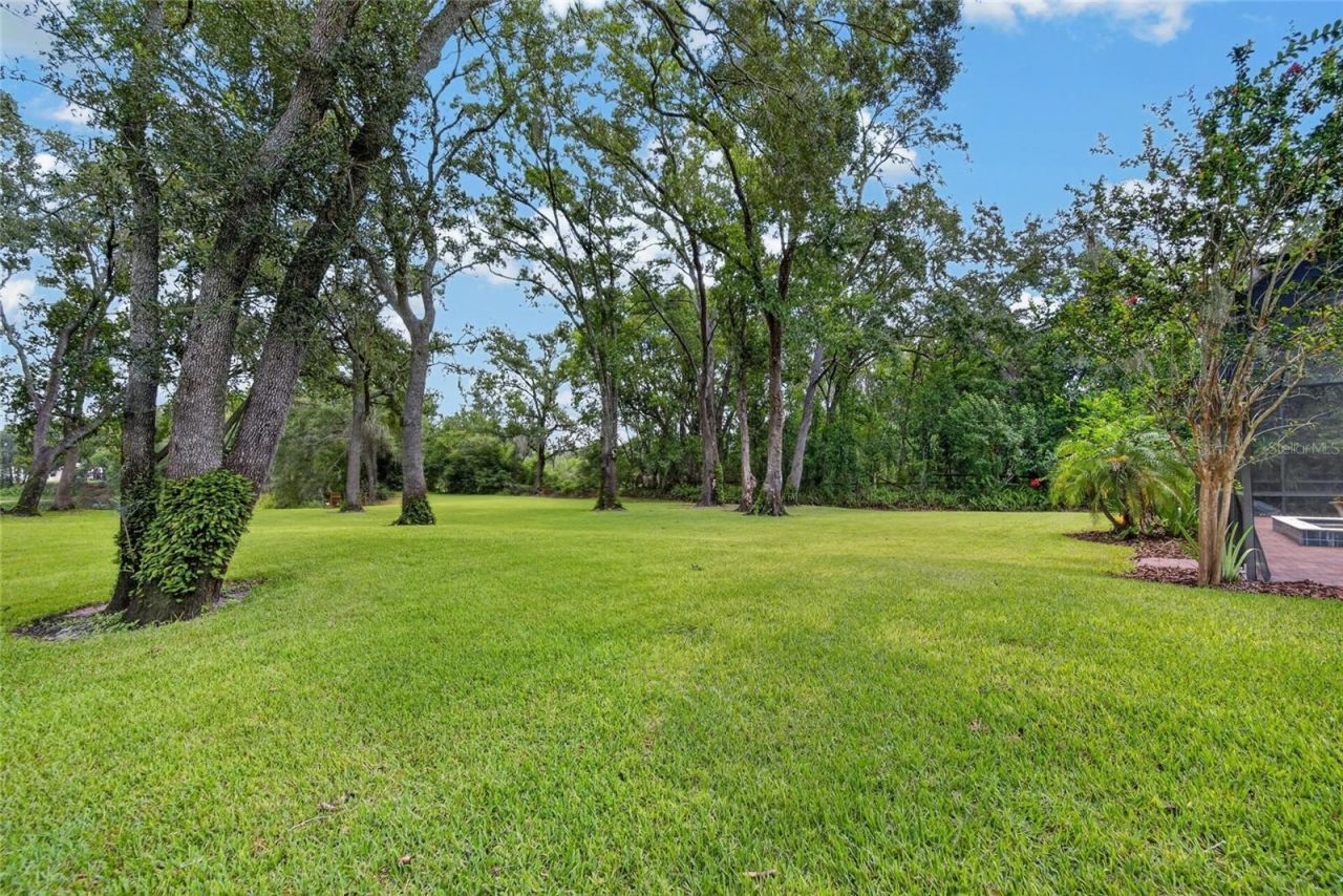 16317 Emerald Cove, Lutz, FL 33549 Photo