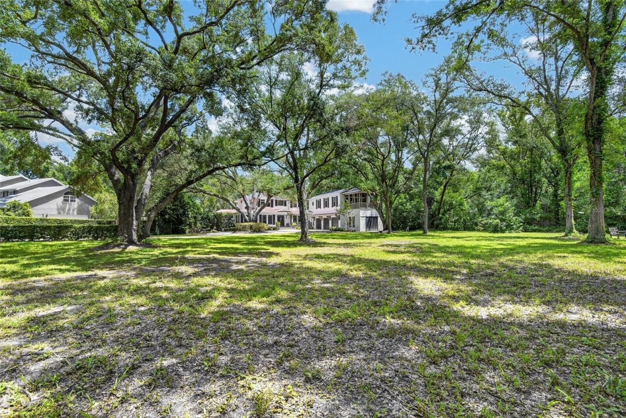 16317 Emerald Cove, Lutz, FL 33549 Photo
