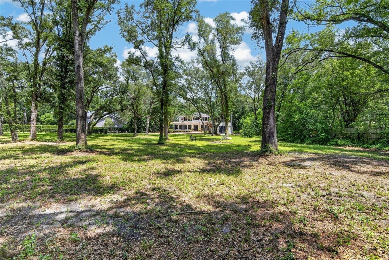 16317 Emerald Cove, Lutz, FL 33549 Photo