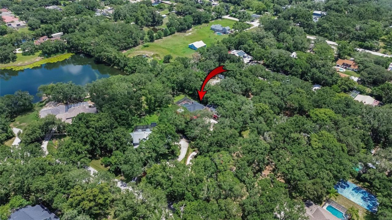 16317 Emerald Cove, Lutz, FL 33549 Photo