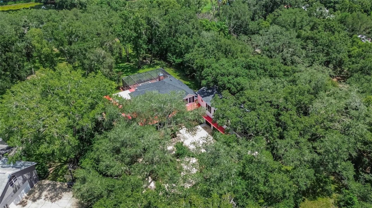 16317 Emerald Cove, Lutz, FL 33549 Photo