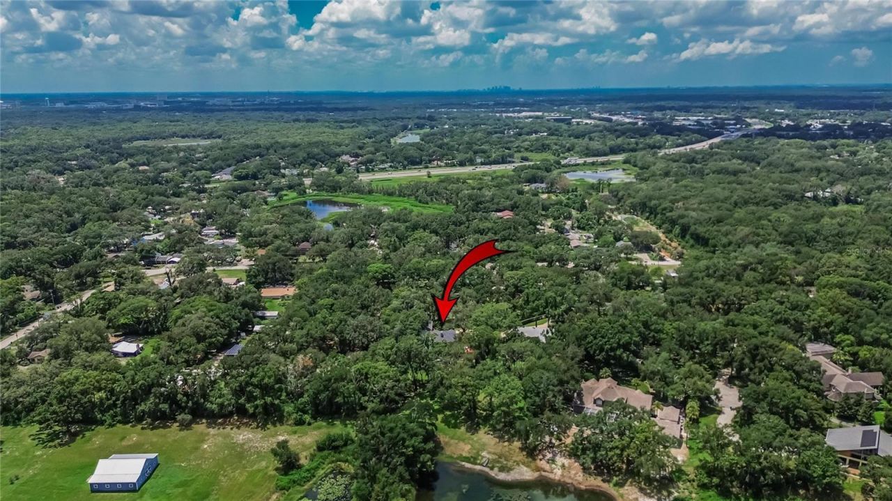 16317 Emerald Cove, Lutz, FL 33549 Photo