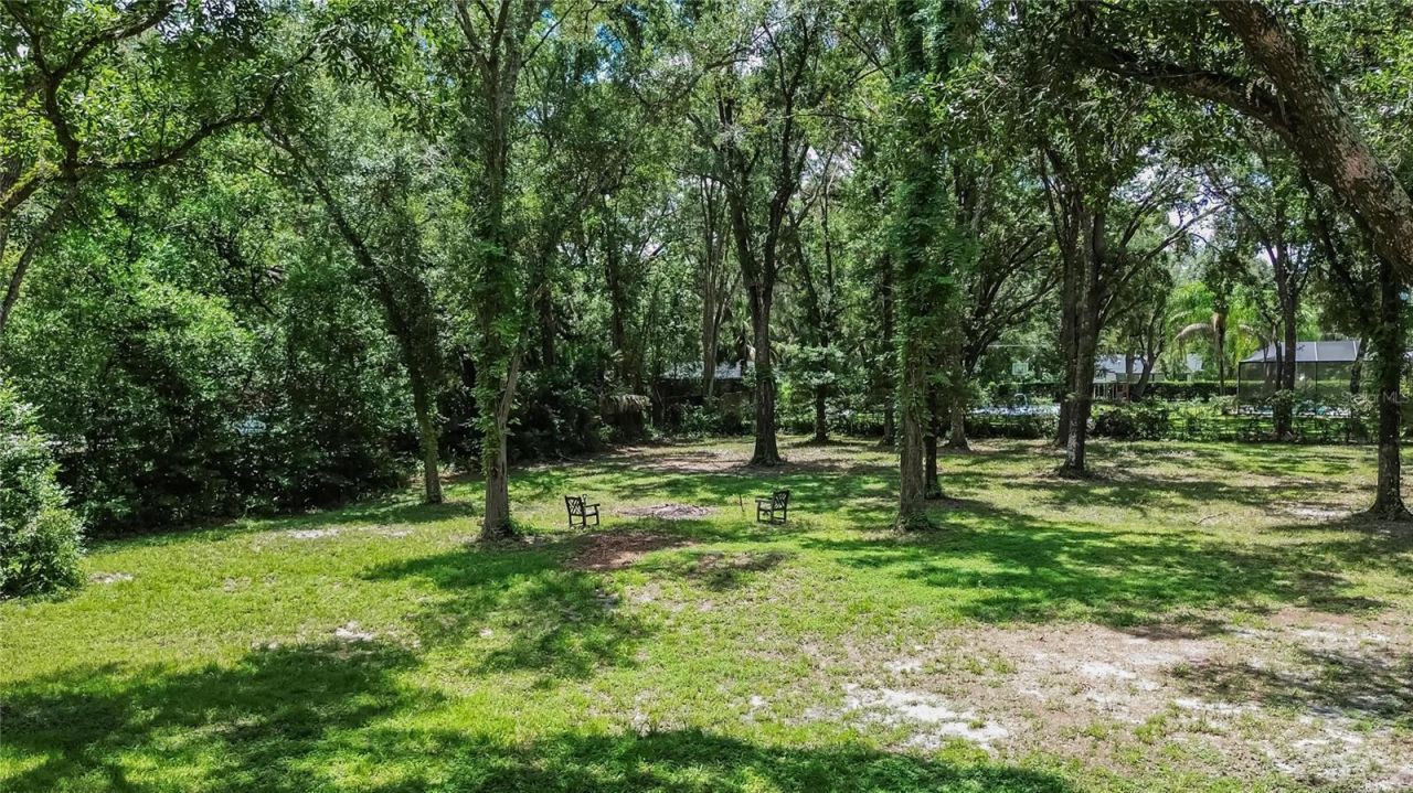 16317 Emerald Cove, Lutz, FL 33549 Photo
